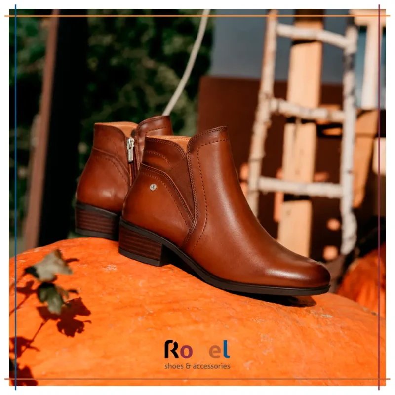 261008-robel